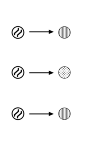 Schematic representation of the phenotype